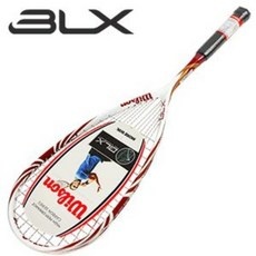 가성비 윌슨스쿼시라켓blx 할인 제품 BEST 10