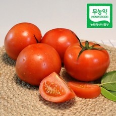 신상품 유기농토마토 인기 아이템 상위 10