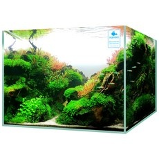 유용한 유리어항 추천 아이템 TOP 10