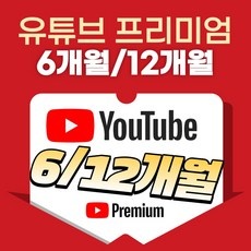 가성비 유튜브 할인 제품 베스트 10