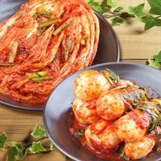 최저가 이리온김치 할인 제품 베스트 10