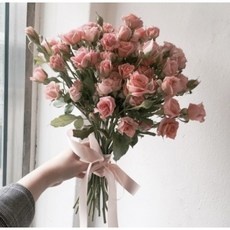 할인정보 자나장미 최저가 정보 리스트 10