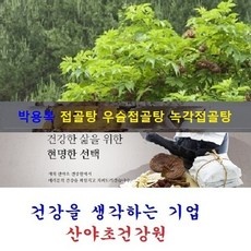 ◀ 2024년 실사용 인플들이 추천하는▶ 접골탕 인기 정보 탑 10