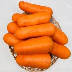 할인정보 제주세척당근 할인 제품 베스트 10