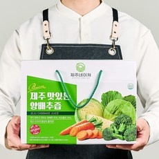 할인정보 제주양배추즙 최저가 제품 리스트 10