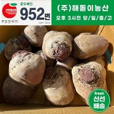 ◀ 2024년 인플들이 추천하는 가성비▶ 제주에서자란비트콜라비 할인 아이템 베스트 10