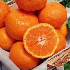 이거 좋더라구요 제주카라향 할인 아이템 탑 10
