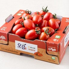 경제적인 제철과일 최저가 정보 TOP 10