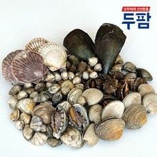 Must Have Item 조개 인기 상품 BEST 10