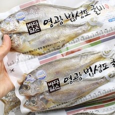 지금 당장 봐야할 조기 할인 제품 TOP 10