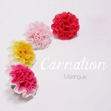 최저가 카네이션머랭 추천 제품 베스트 10