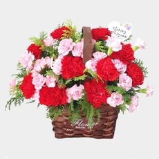 Must Have Item 카네이션배달 할인 상품 리스트 10