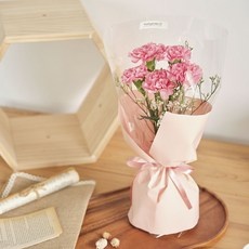 세일 카네이션생화 최저가 상품 상위 10