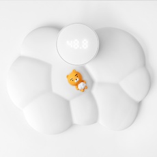 신상품 카카오스마트체중계 추천 제품 상위 10