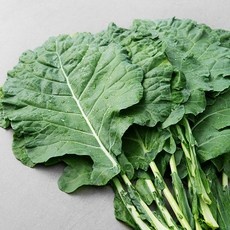 이거 좋더라구요 케일 인기 정보 TOP 10