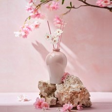 지금 당장 봐야할 테일러센츠 인기 상품 상위 10