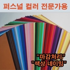 Must Have Item 퍼스널컬러진단단체 최저가 아이템 탑 10