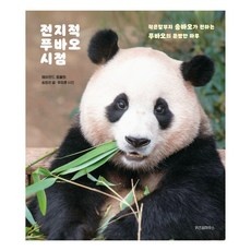 세일 푸바오책 최저가 아이템 탑 10