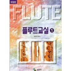 세일 플룻레슨비 인기 상품 TOP 10