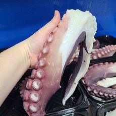 가성비 피문어 최저가 정보 탑 10