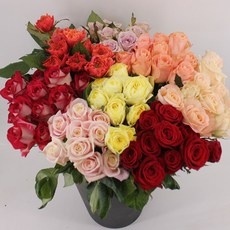 이거 좋더라구요 한솔장미 인기 정보 BEST 10