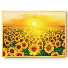 Must Have Item 해바라기액자 최저가 상품 TOP 10