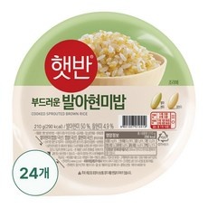 세일 햇반발아현미밥 최저가 제품 상위 10