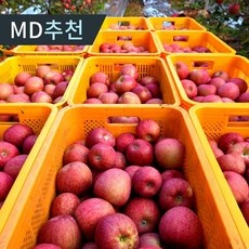 최고의 선택 흠집사과 최저가 아이템 상위 10