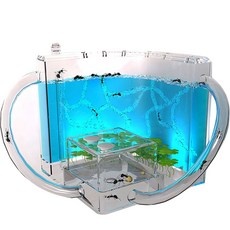 Must Have Item 개미키우기 할인 정보 베스트 5 Must Have Item 개미키우기 할인 정보 베스트 5