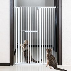 세일 고양이안전문 최저가 정보 상위 5