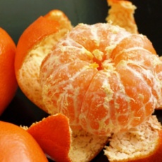 ◀ 2024년 실제 후기도 평이 좋네요▶ 귤 추천 제품 베스트 5 ◀ 2024년 실제 후기도 평이 좋네요▶ 귤 추천 제품 베스트 5