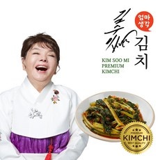 ◀ 2024년 내돈내산 실사용 강추후기▶ 김수미열무김치 최저가 정보 BEST 5
