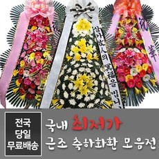 가성비 꽃배송 인기 아이템 리스트 5