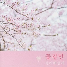 할인정보 돌성장동영상 할인 아이템 TOP 5