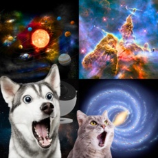 ◀ 2024년 너무 갖고싶은 가성비템▶ 리베니우주무드등 인기 상품 상위 5