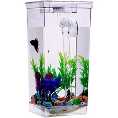 ◀ 2024년 내돈내산 SNS 인기상품▶ 물고기키우기 추천 상품 상위 5