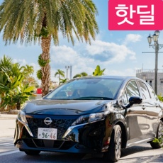 Must Have Item 보홀렌트카 할인 아이템 TOP 5