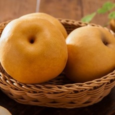 ◀ 2024년 실제 후기도 평이 좋네요▶ 부산대마도배 인기 정보 탑 5