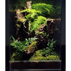 가성비 부산플라워클래스 할인 상품 상위 5