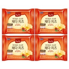 ◀ 2024년 실사용 추천 후기▶ 상하치즈체다치즈 인기 제품 상위 9