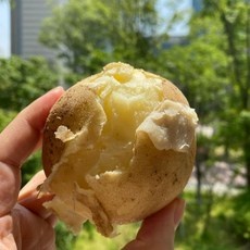 경제적인 수미감자 최저가 정보 TOP 5