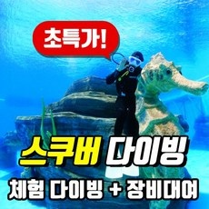 ◀ 2024년 믿고쓰는 혜자템▶ 스쿠버다이빙체험 할인 상품 BEST 5