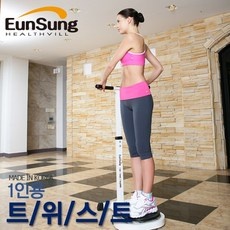 ◀ 2024년 내돈내산 실사용 강추후기▶ 스텝퍼트위스트운동기구 최저가 제품 베스트 10
