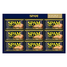 최고의 선택 스팸8호 추천 정보 리스트 5