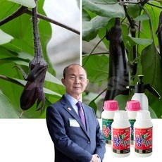 ◀ 2024년 실사용 가성비가 너무 좋아요▶ 인포벨 최저가 제품 베스트 10