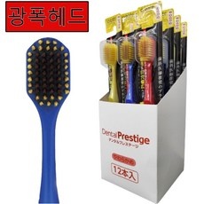 유용한 일본칫솔 추천 아이템 리스트 5