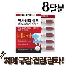 특가 잇플러스 추천 제품 베스트 5