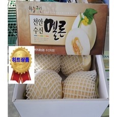 ◀ 2024년 실사용 추천 후기▶ 천안수신메론 인기 제품 탑 5 ◀ 2024년 실사용 추천 후기▶ 천안수신메론 인기 제품 탑 5