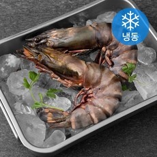 유용한 타이거새우 인기 제품 탑 5