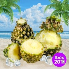 이거 좋더라구요 파인애플샤베트 인기 정보 탑 5